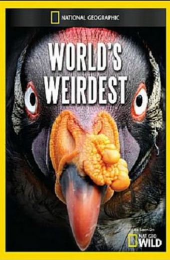 World's Weirdest