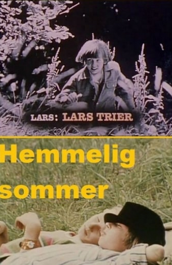 Hemmelig sommer
