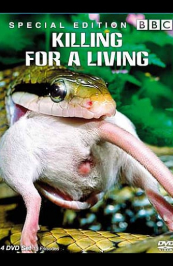 Predators Killing for a Living
