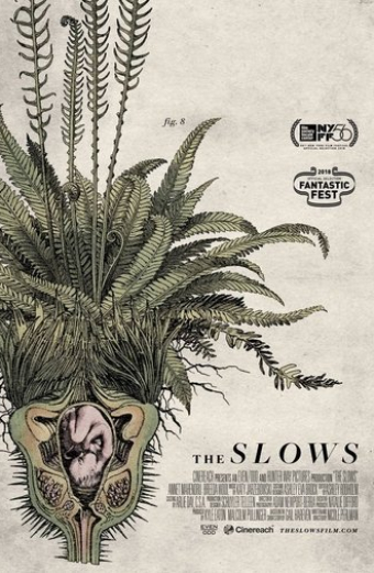 The Slows