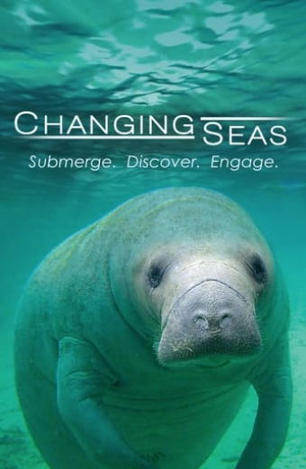 Changing Seas